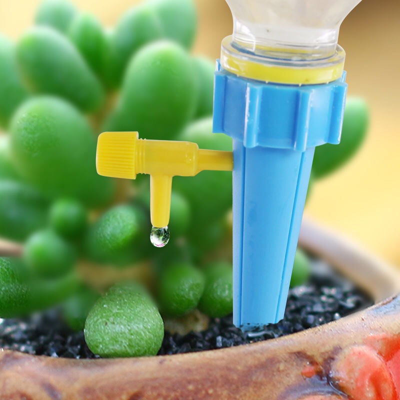 10/1 Stück Selbstbewässerungss – Smart Garden Herb Bewertung und Preis