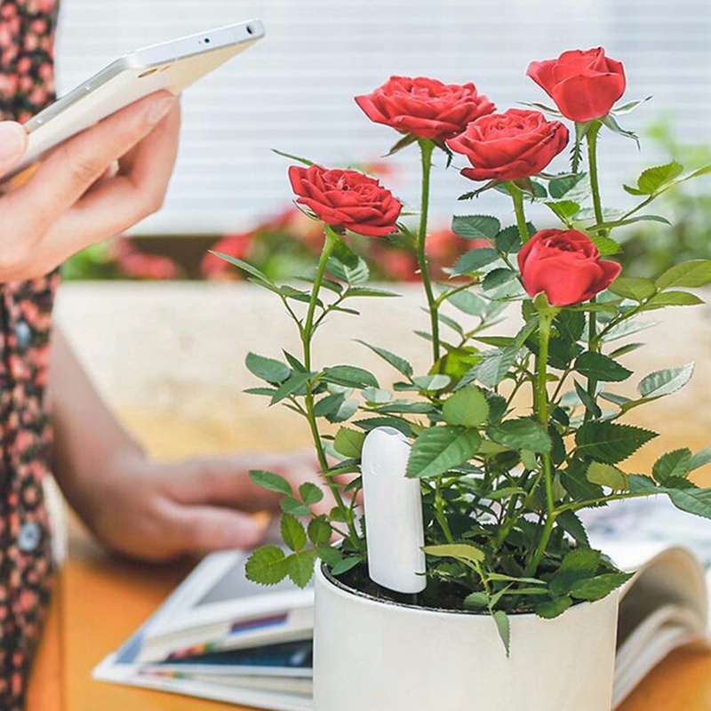 HHCC Blume Monitor Flora Garte – Smart Garden Monitor Bewertung und Preis