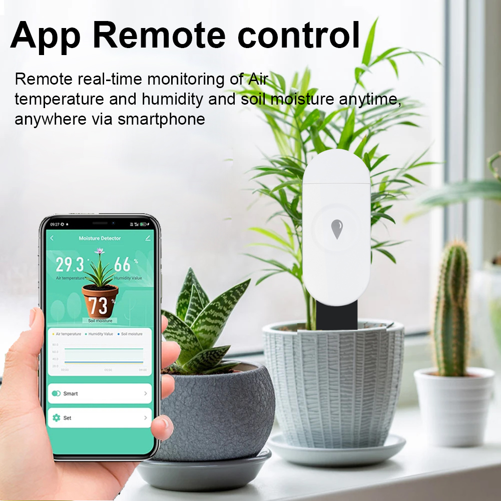 Tuya Zigbee Temperatur Feuchti – Smart Soil Sensor Bewertung und Preis