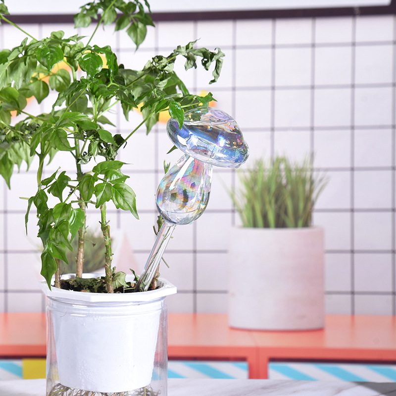 1/2PCS Glas Stroh Automatische – Smart Garden Herb Bewertung und Preis