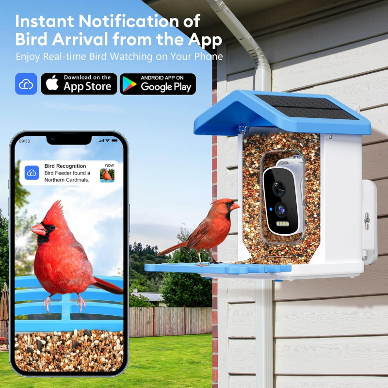 WiFi Smart Bird Feeder mit Kam – Smart Garden Outdoor Bewertung und Preis